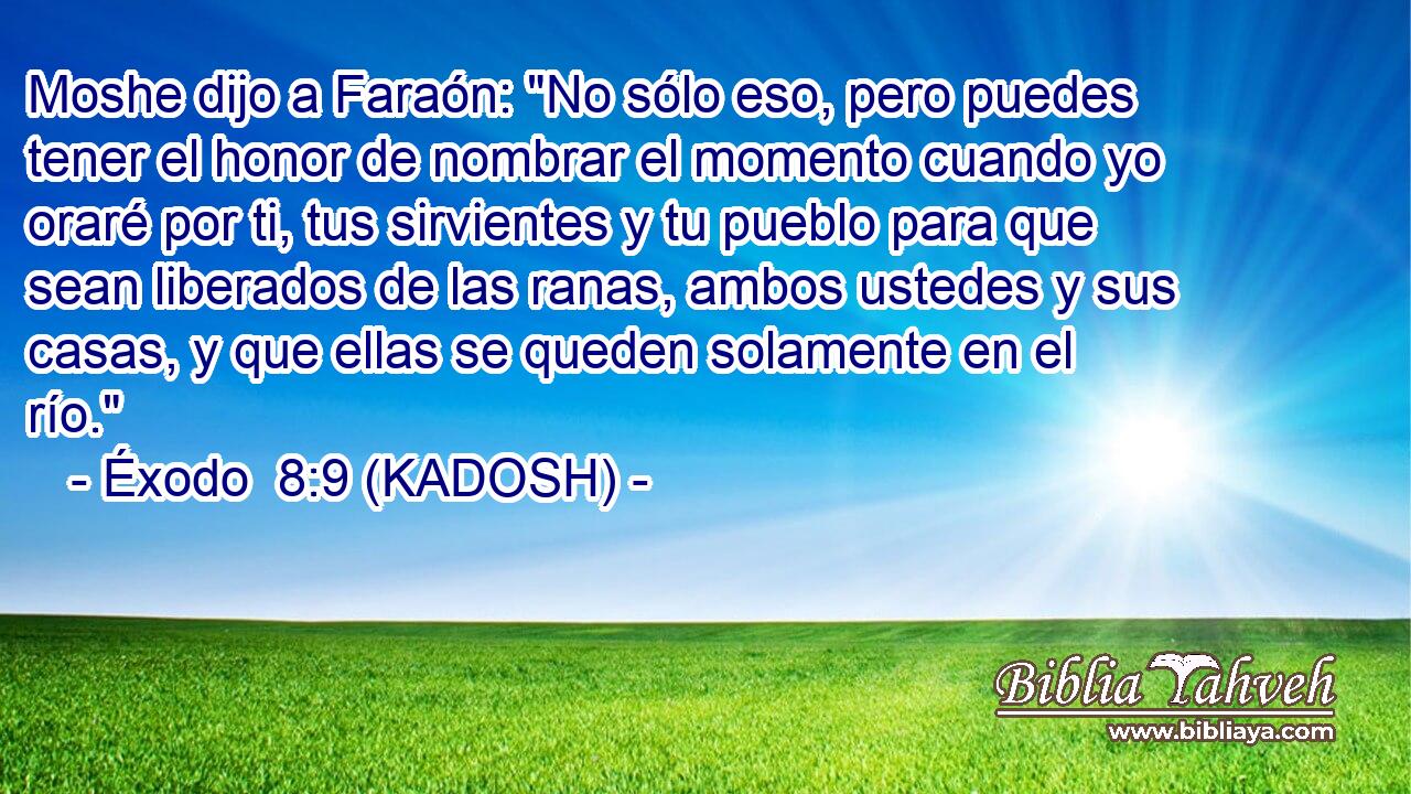  Moshe dijo a Faraón: 