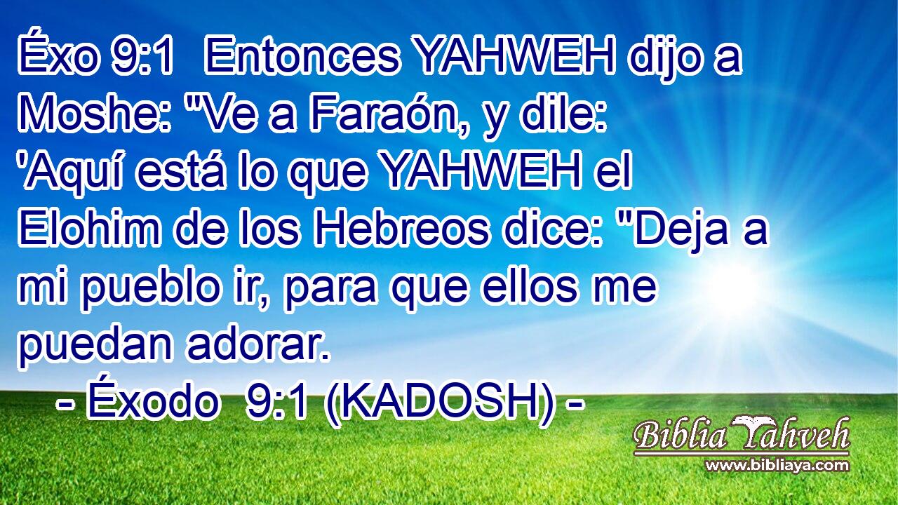 Entonces YAHWEH dijo a Moshe: 