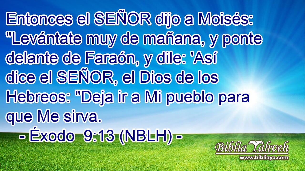  Entonces el SEÑOR dijo a Moisés: 