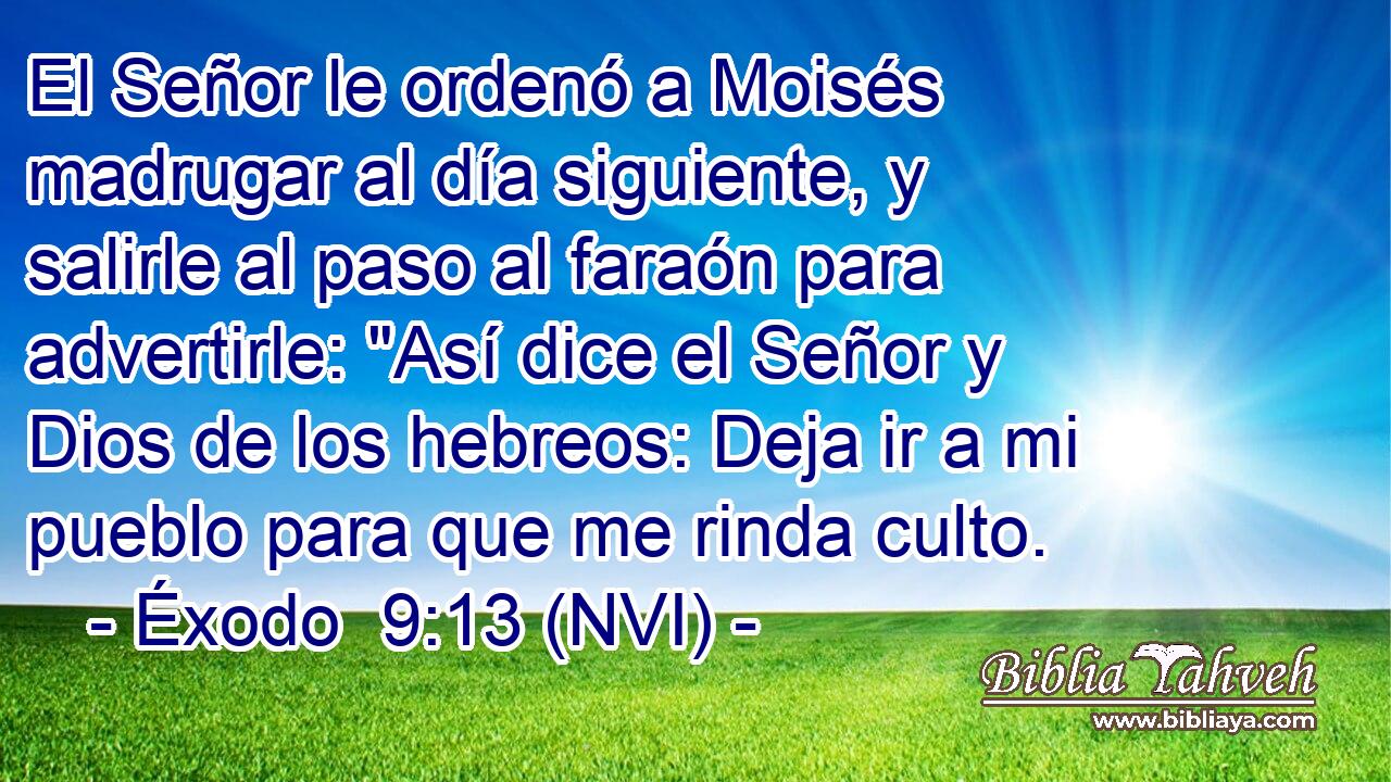  El Señor le ordenó a Moisés madrugar al día siguiente, y salirle al paso al faraón para advertirle: 