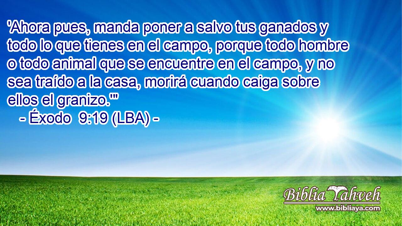 'Ahora pues, manda poner a salvo tus ganados y todo lo que tienes en el campo, porque todo hombre o todo animal que se encuentre en el campo, y no sea traído a la casa, morirá cuando caiga sobre ellos el granizo.'