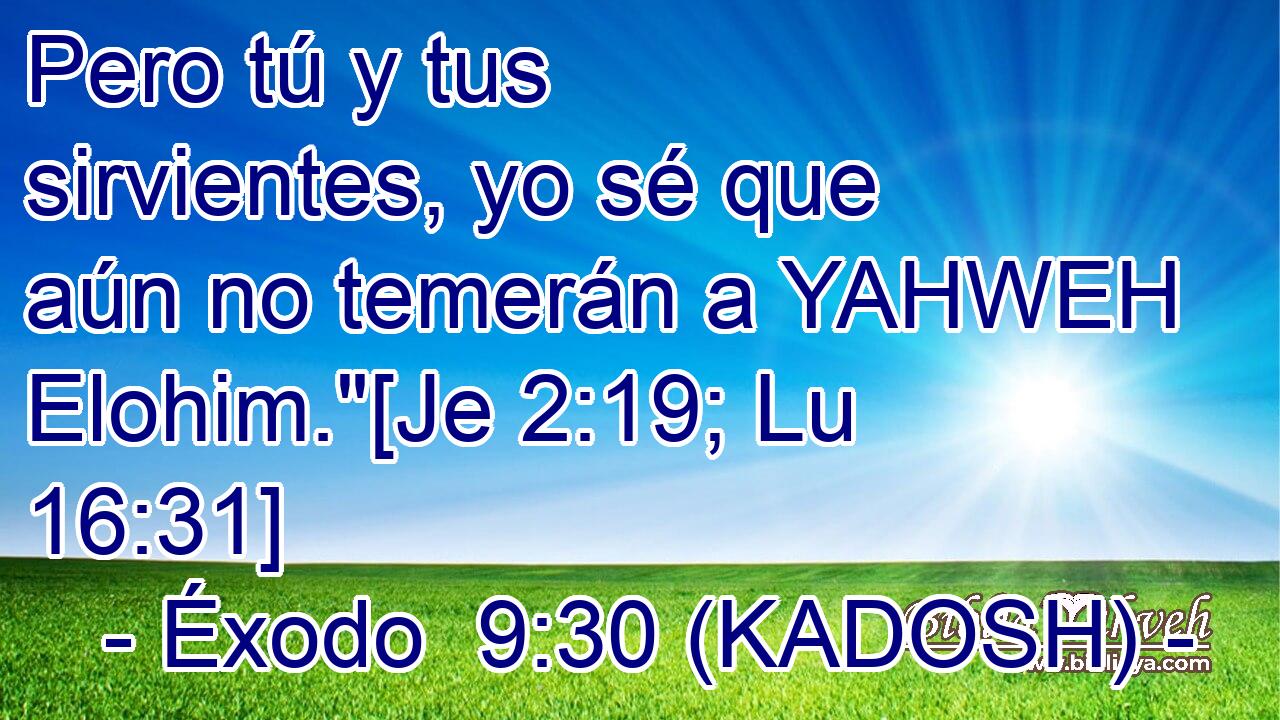 Pero tú y tus sirvientes, yo sé que aún no temerán a YAHWEH Elohim.