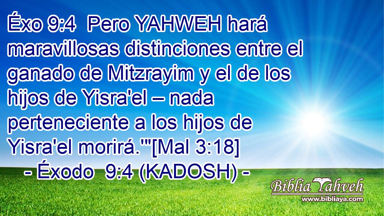  Pero YAHWEH hará maravillosas distinciones entre el ganado de Mitzrayim y el de los hijos de Yisra'el – nada perteneciente a los hijos de Yisra'el morirá.'
