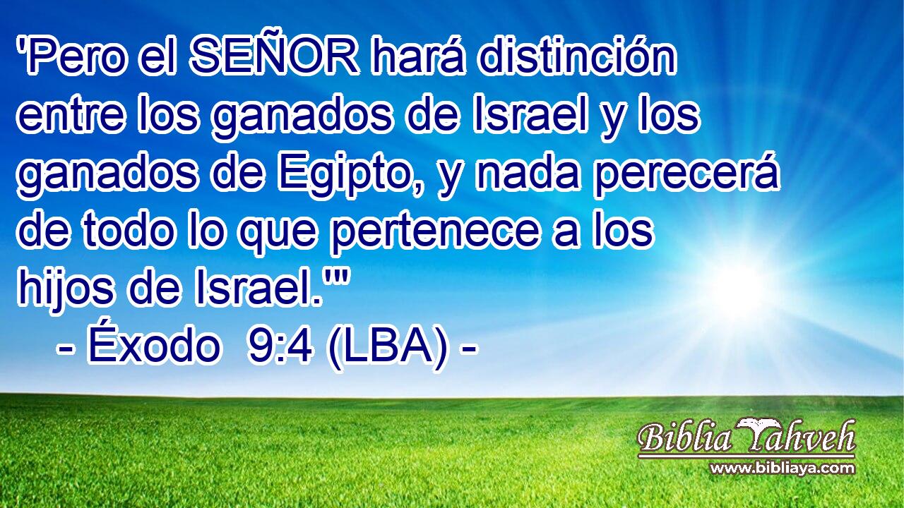 'Pero el SEÑOR hará distinción entre los ganados de Israel y los ganados de Egipto, y nada perecerá de todo lo que pertenece a los hijos de Israel.'