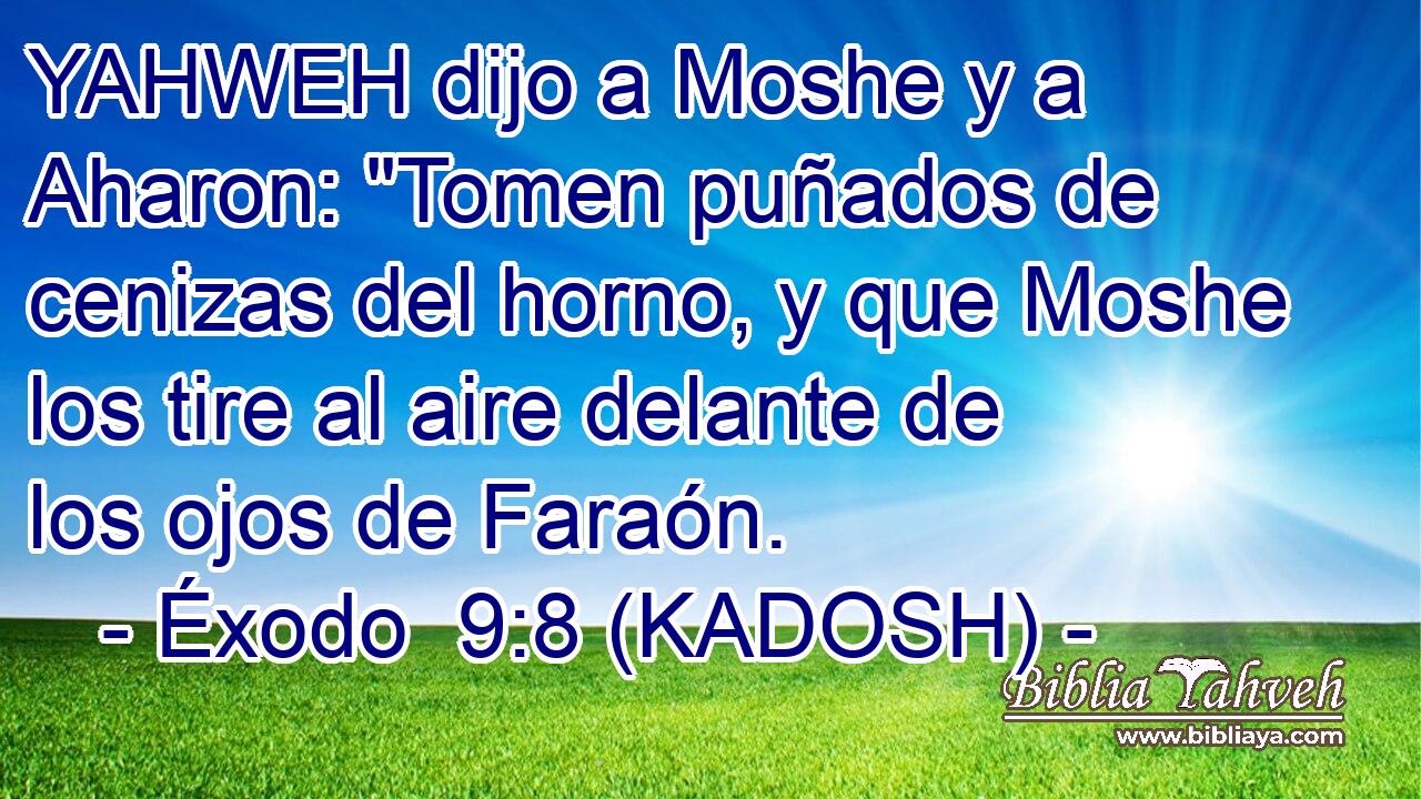  YAHWEH dijo a Moshe y a Aharon: 