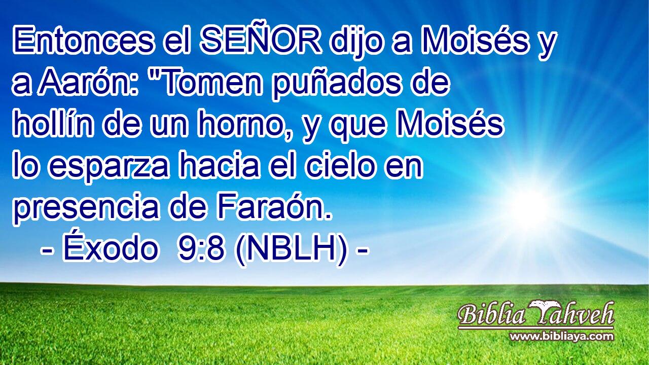  Entonces el SEÑOR dijo a Moisés y a Aarón: 