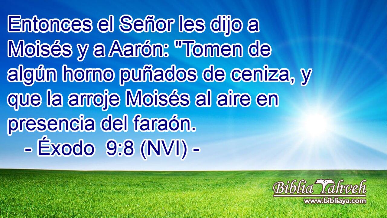  Entonces el Señor les dijo a Moisés y a Aarón: 