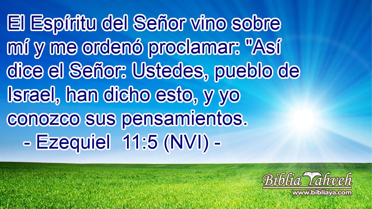  El Espíritu del Señor vino sobre mí y me ordenó proclamar: 