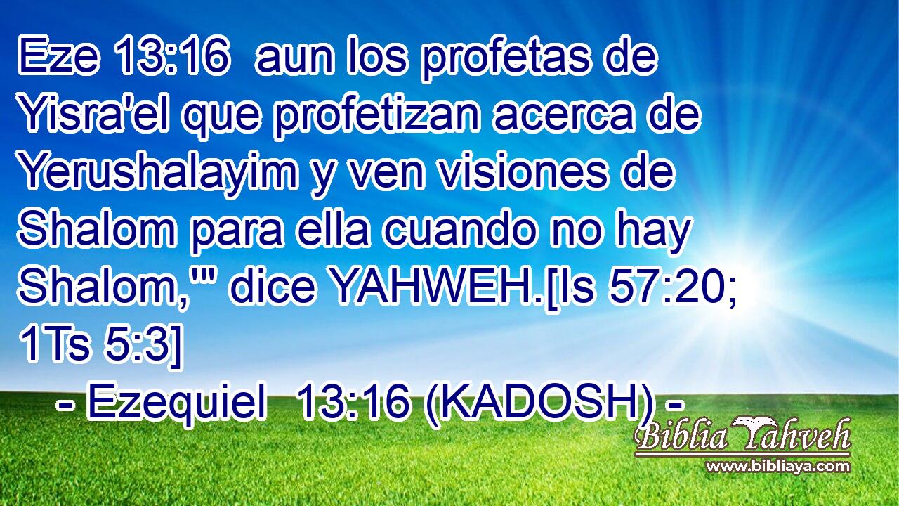  aun los profetas de Yisra'el que profetizan acerca de Yerushalayim y ven visiones de Shalom para ella cuando no hay Shalom,'