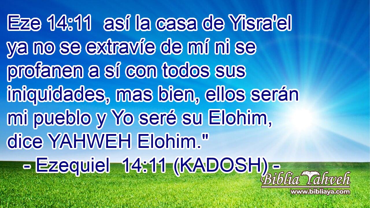 así la casa de Yisra'el ya no se extravíe de mí ni se profanen a sí con todos sus iniquidades, mas bien, ellos serán mi pueblo y Yo seré su Elohim, dice YAHWEH Elohim.