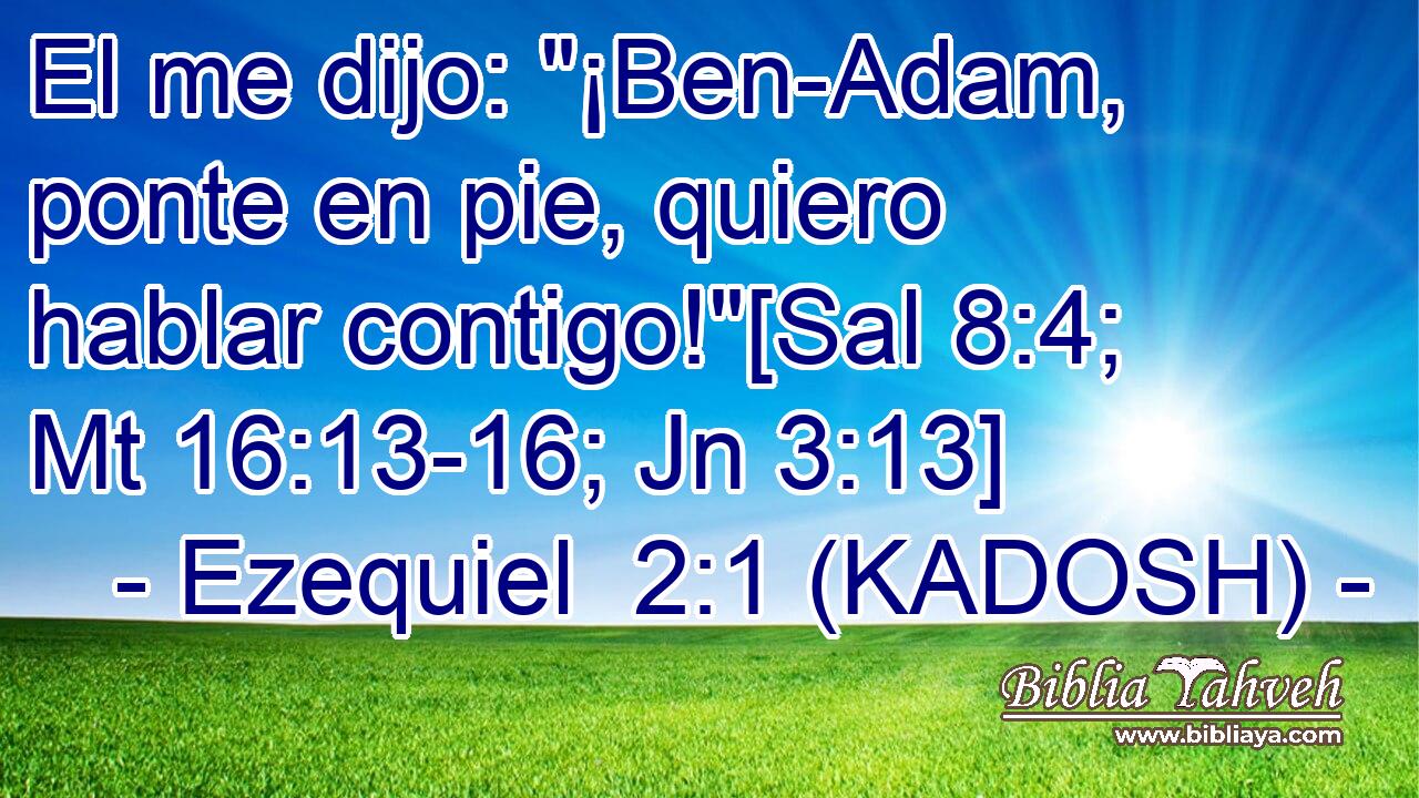  El me dijo: 
