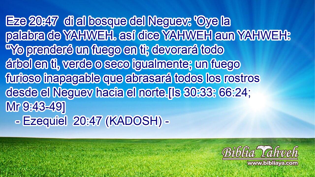 di al bosque del Neguev: 'Oye la palabra de YAHWEH. así dice YAHWEH aun YAHWEH: 