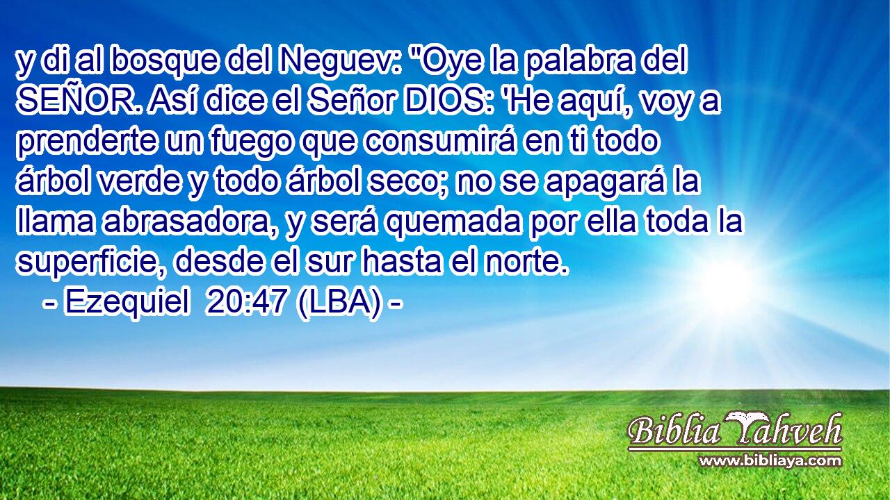 y di al bosque del Neguev: 