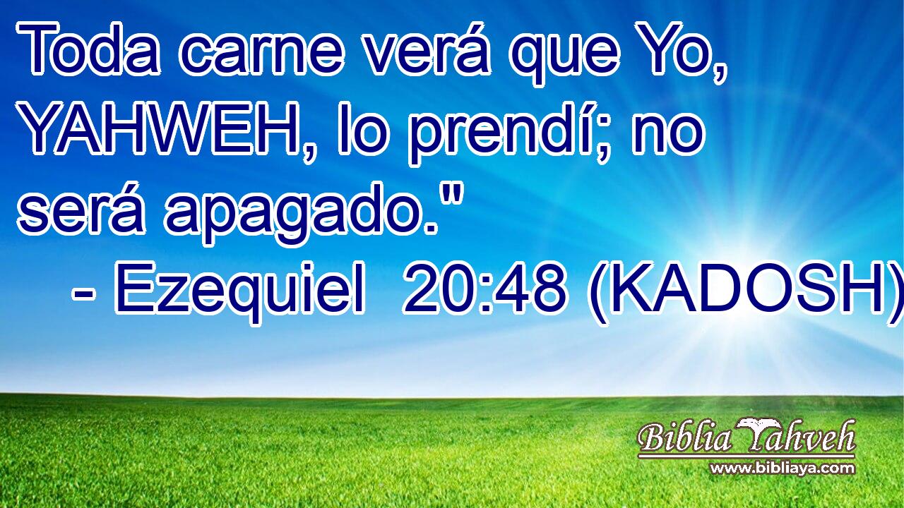  Toda carne verá que Yo, YAHWEH, lo prendí; no será apagado.