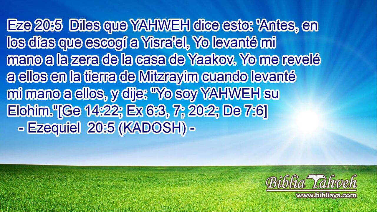  Diles que YAHWEH dice esto: 'Antes, en los días que escogí a Yisra'el, Yo levanté mi mano a la zera de la casa de Yaakov. Yo me revelé a ellos en la tierra de Mitzrayim cuando levanté mi mano a ellos, y dije: 