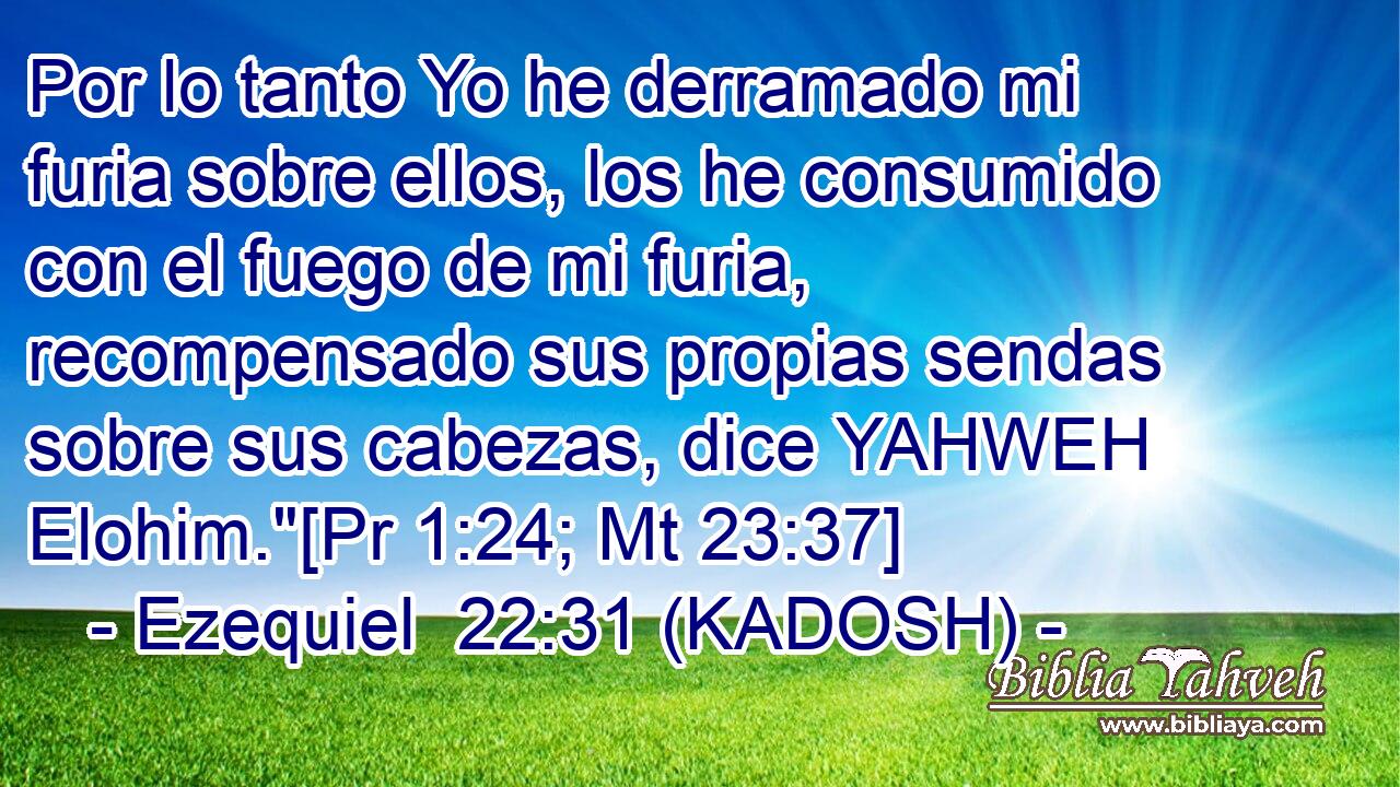  Por lo tanto Yo he derramado mi furia sobre ellos, los he consumido con el fuego de mi furia, recompensado sus propias sendas sobre sus cabezas, dice YAHWEH Elohim.
