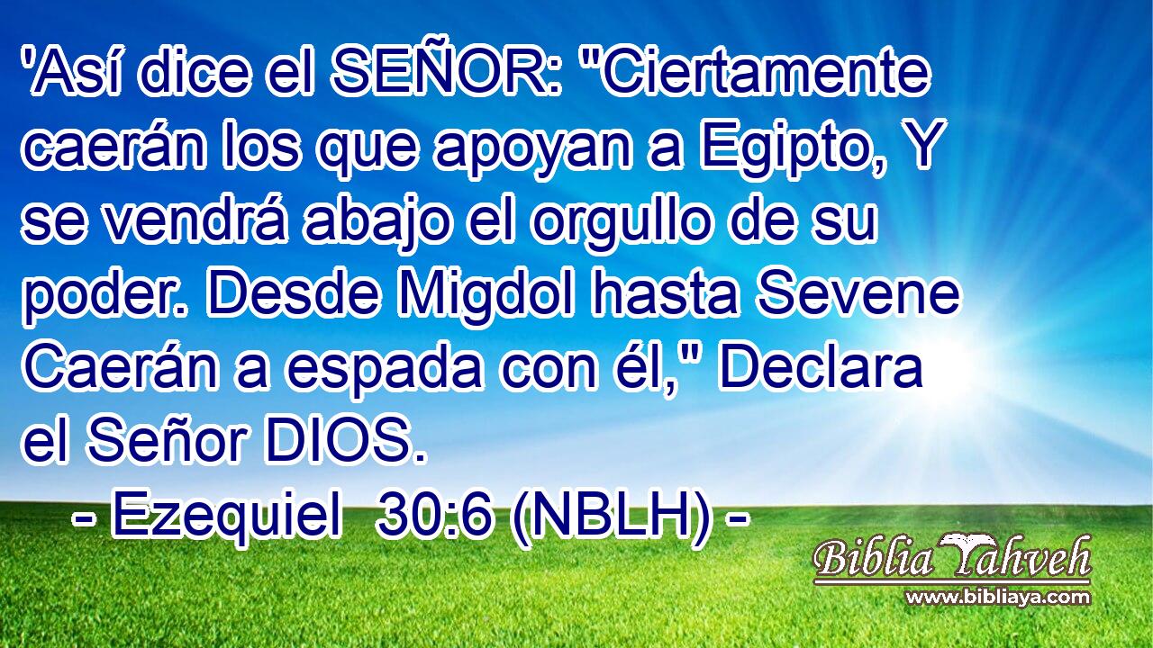  'Así dice el SEÑOR: 