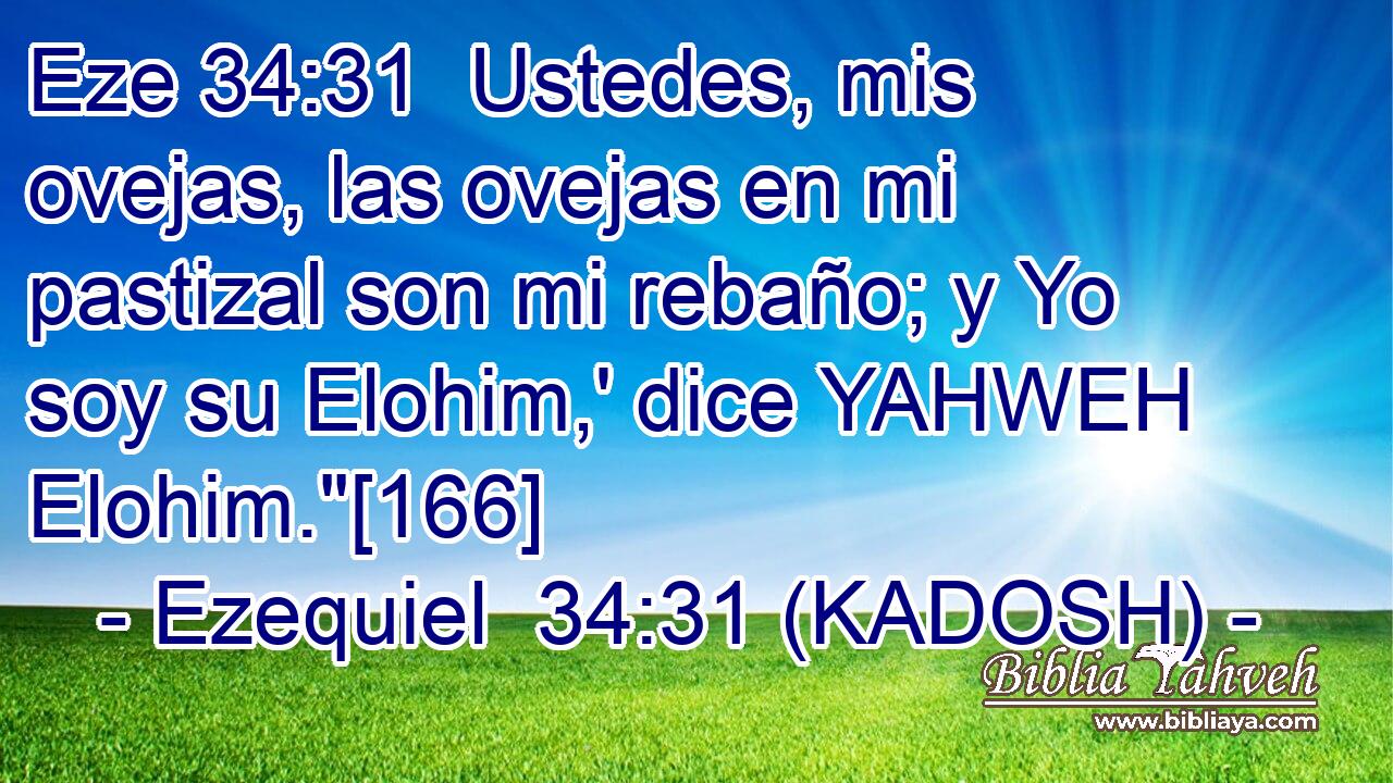  Ustedes, mis ovejas, las ovejas en mi pastizal son mi rebaño; y Yo soy su Elohim,' dice YAHWEH Elohim.