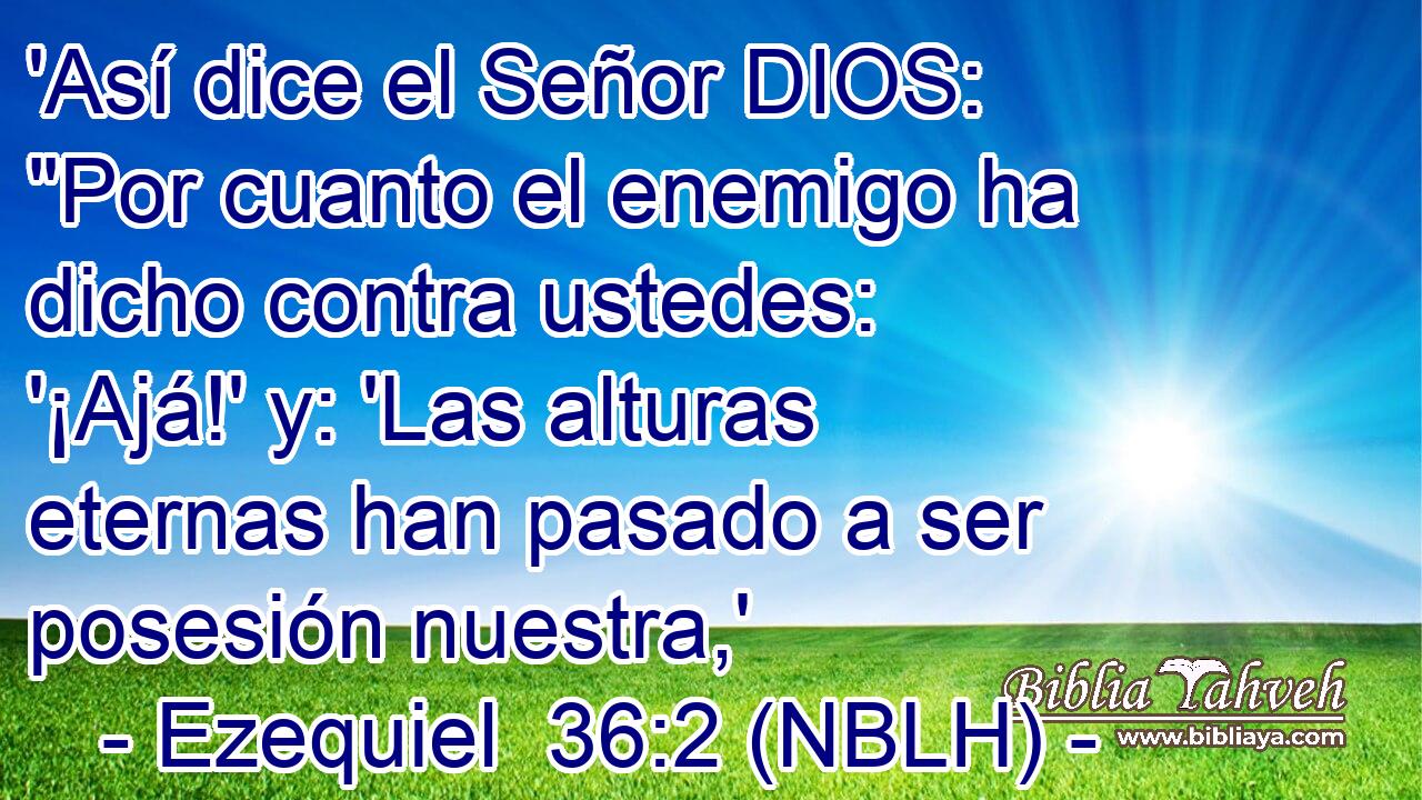  'Así dice el Señor DIOS: 