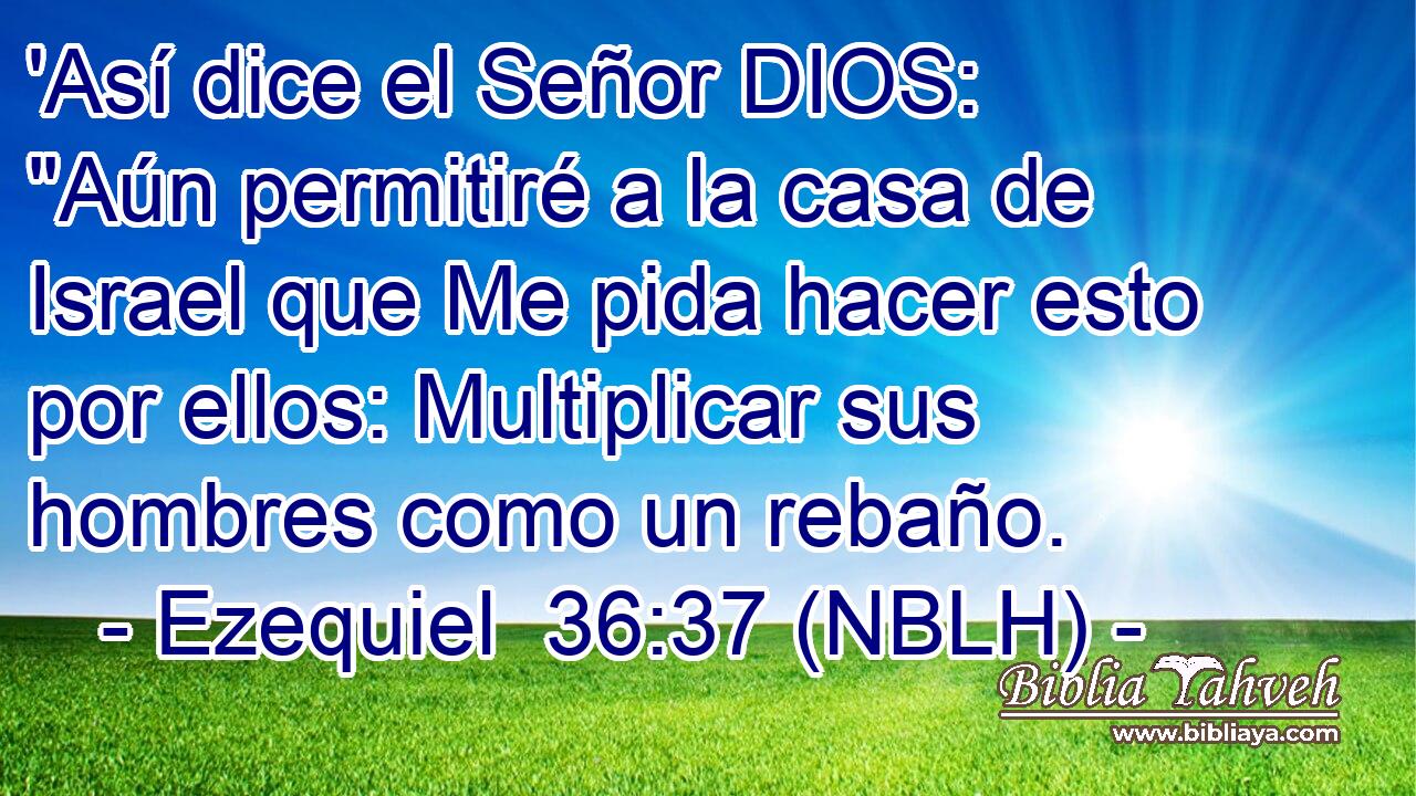  'Así dice el Señor DIOS: 
