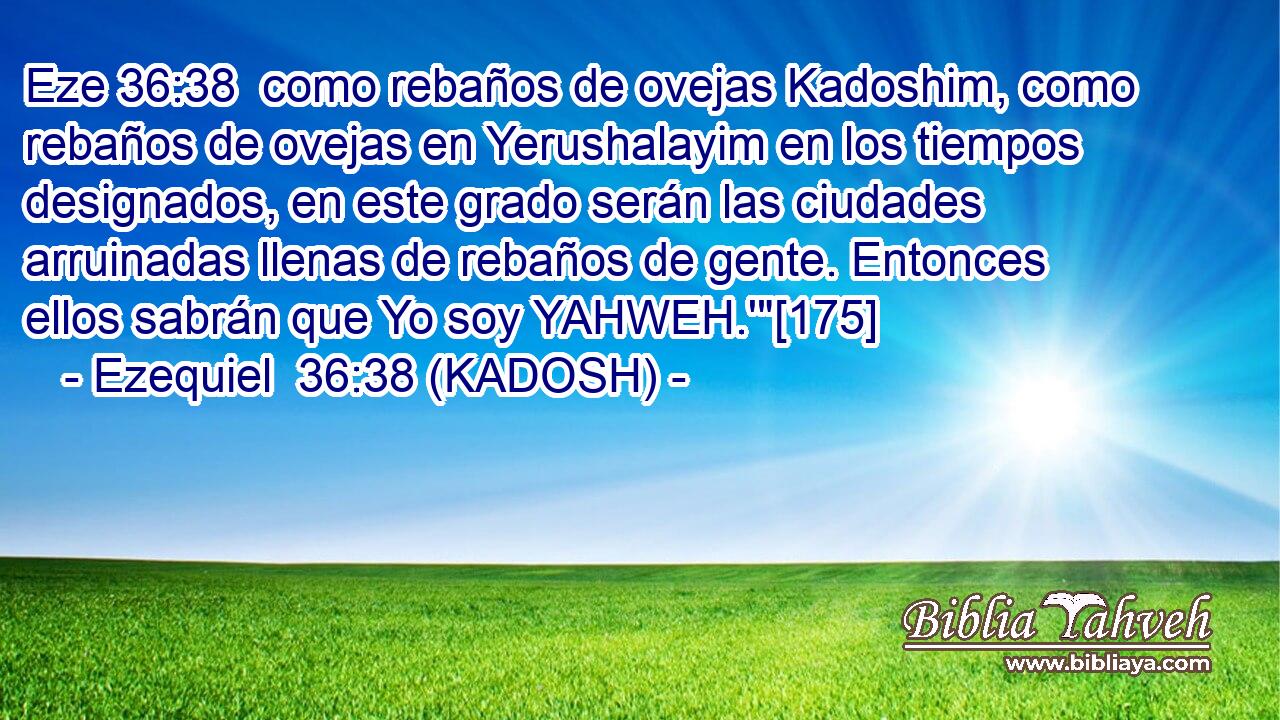  como rebaños de ovejas Kadoshim, como rebaños de ovejas en Yerushalayim en los tiempos designados, en este grado serán las ciudades arruinadas llenas de rebaños de gente. Entonces ellos sabrán que Yo soy YAHWEH.'