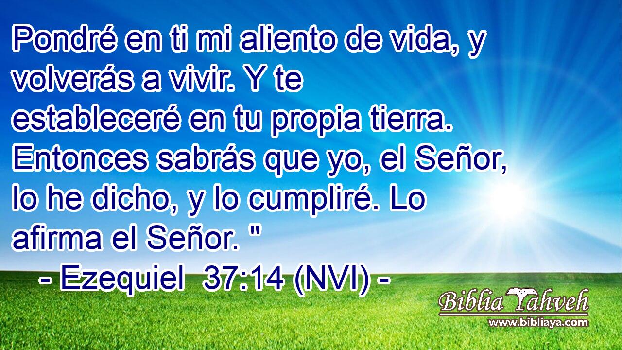  Pondré en ti mi aliento de vida, y volverás a vivir. Y te estableceré en tu propia tierra. Entonces sabrás que yo, el Señor, lo he dicho, y lo cumpliré. Lo afirma el Señor. 