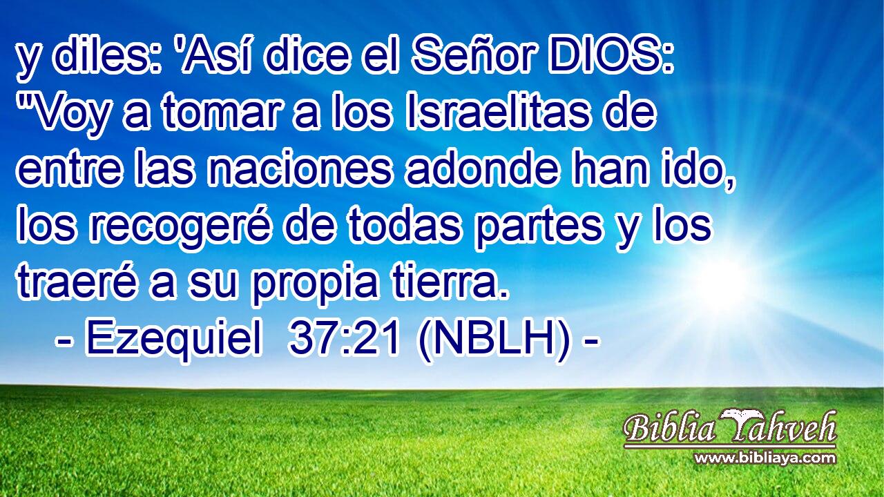  y diles: 'Así dice el Señor DIOS: 