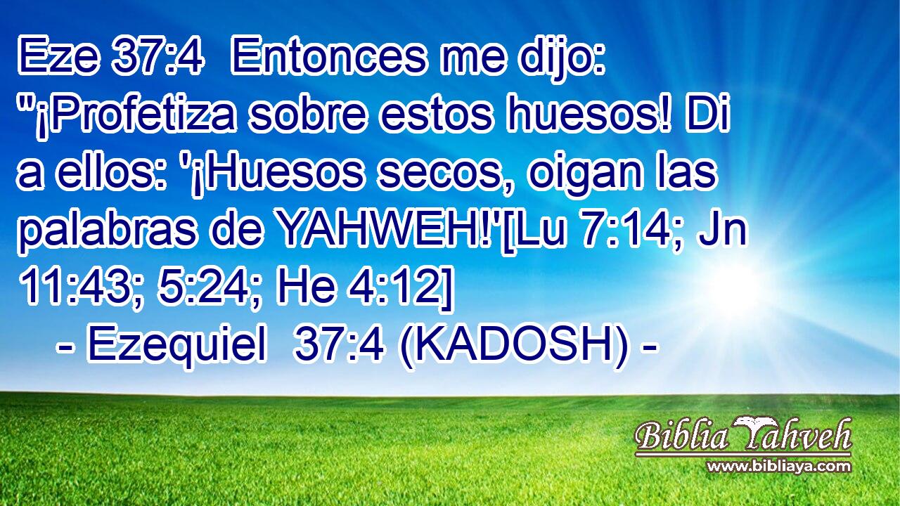  Entonces me dijo: 