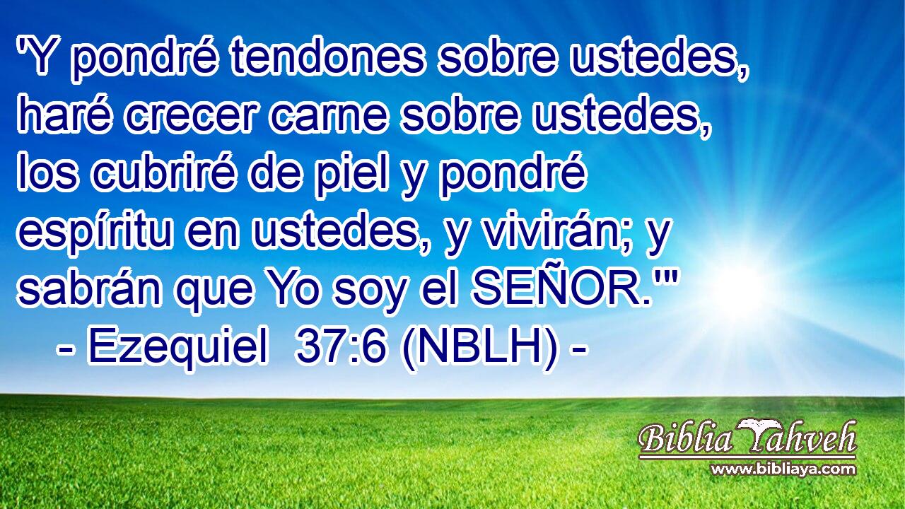  'Y pondré tendones sobre ustedes, haré crecer carne sobre ustedes, los cubriré de piel y pondré espíritu en ustedes, y vivirán; y sabrán que Yo soy el SEÑOR.'