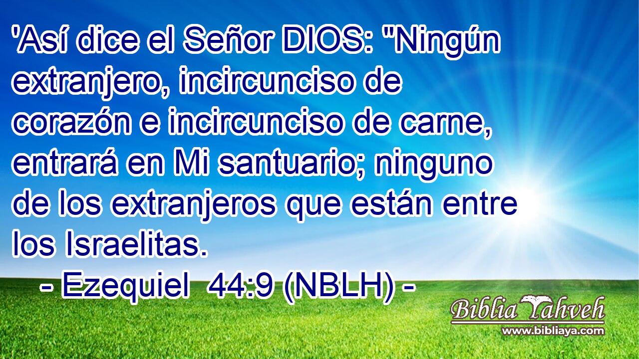  'Así dice el Señor DIOS: 