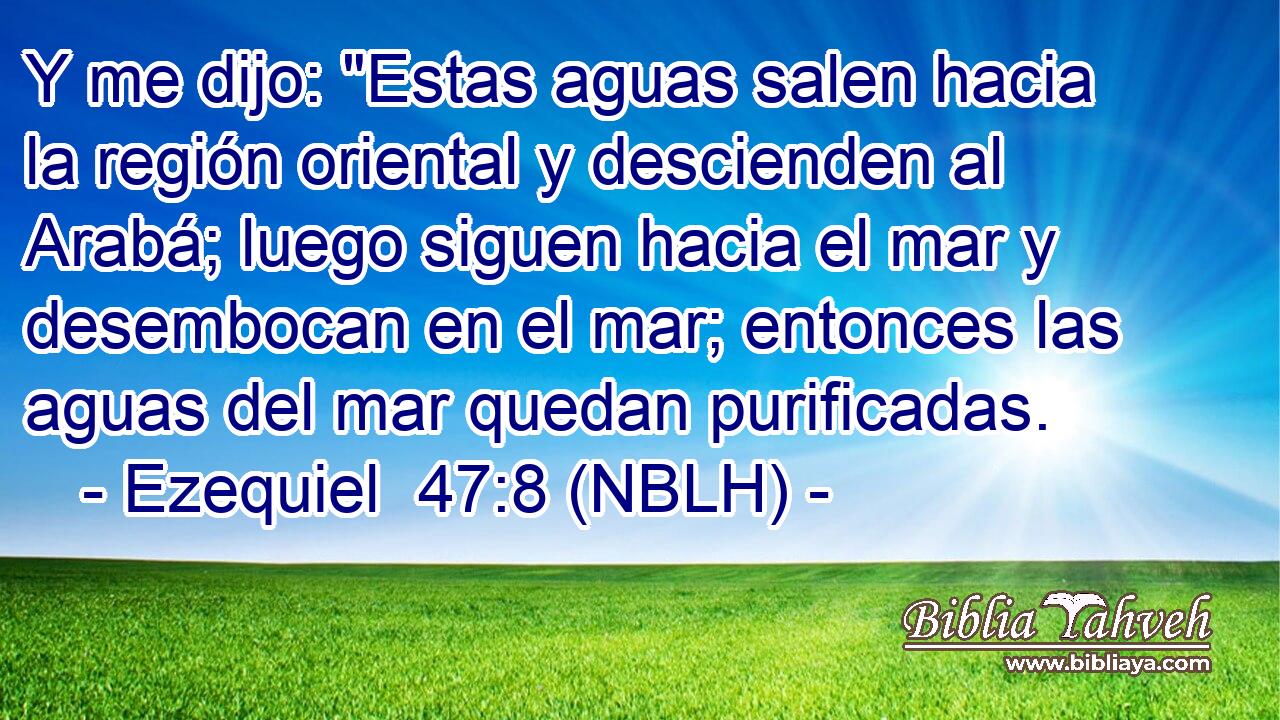  Y me dijo: 