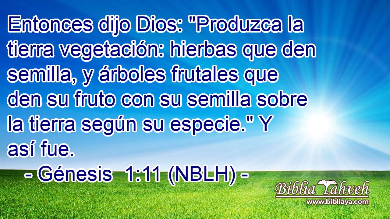  Entonces dijo Dios: 