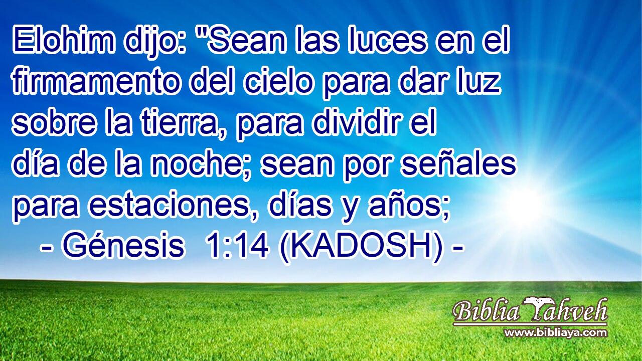  Elohim dijo: 