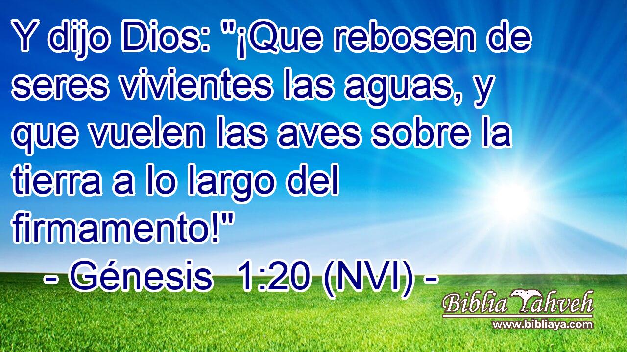  Y dijo Dios: 