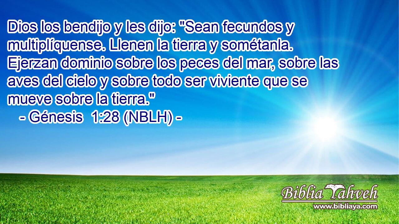 Dios los bendijo y les dijo: 