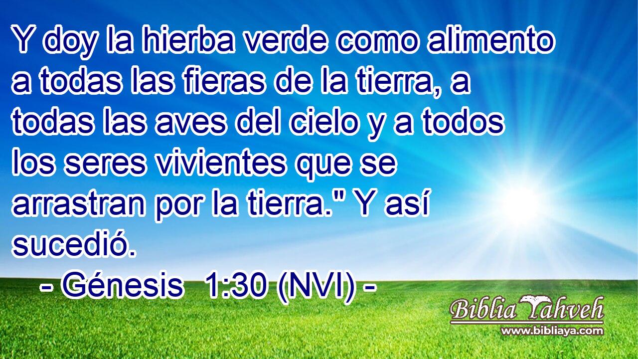  Y doy la hierba verde como alimento a todas las fieras de la tierra, a todas las aves del cielo y a todos los seres vivientes que se arrastran por la tierra.