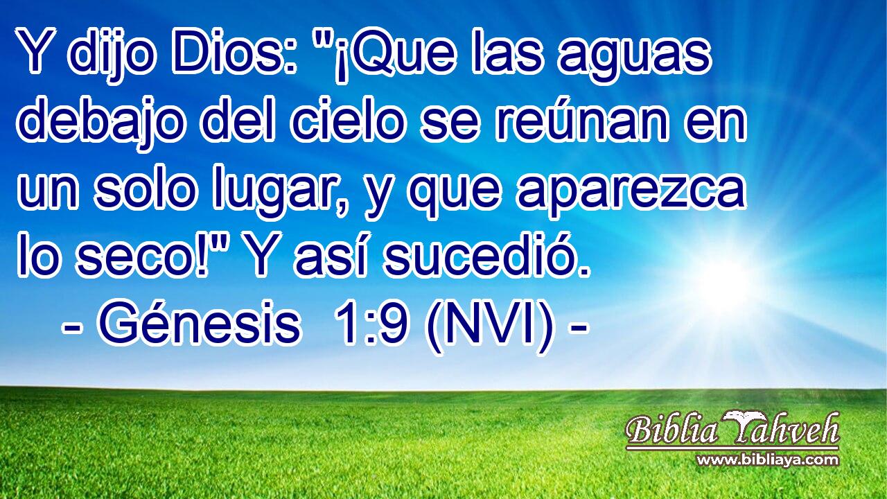  Y dijo Dios: 