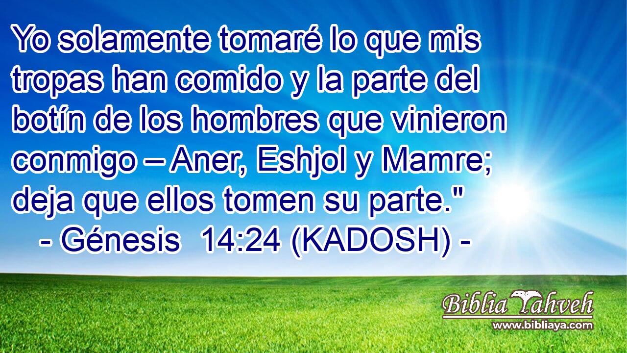  Yo solamente tomaré lo que mis tropas han comido y la parte del botín de los hombres que vinieron conmigo – Aner, Eshjol y Mamre; deja que ellos tomen su parte.