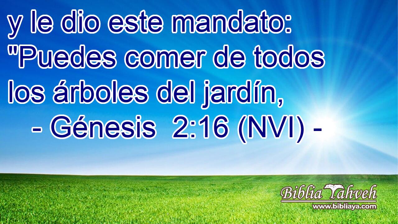  y le dio este mandato: 