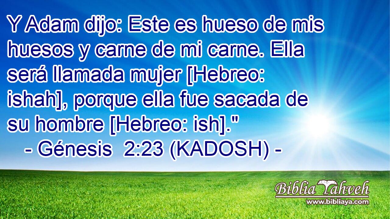  Y Adam dijo: Este es hueso de mis huesos y carne de mi carne. Ella será llamada mujer [Hebreo: ishah], porque ella fue sacada de su hombre [Hebreo: ish].