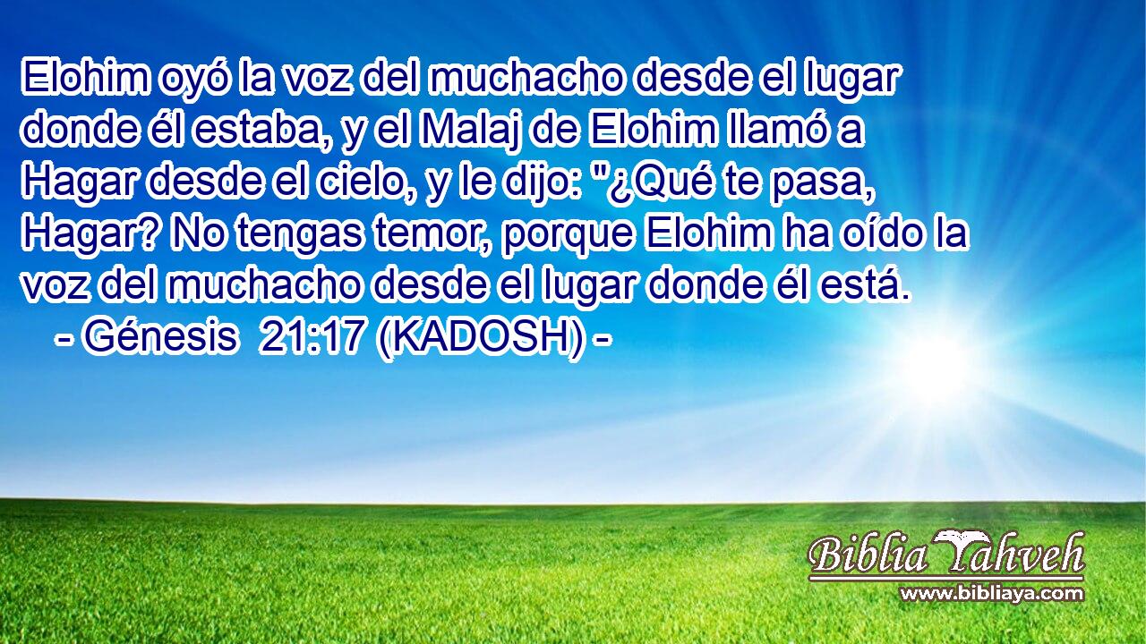  Elohim oyó la voz del muchacho desde el lugar donde él estaba, y el Malaj de Elohim llamó a Hagar desde el cielo, y le dijo: 