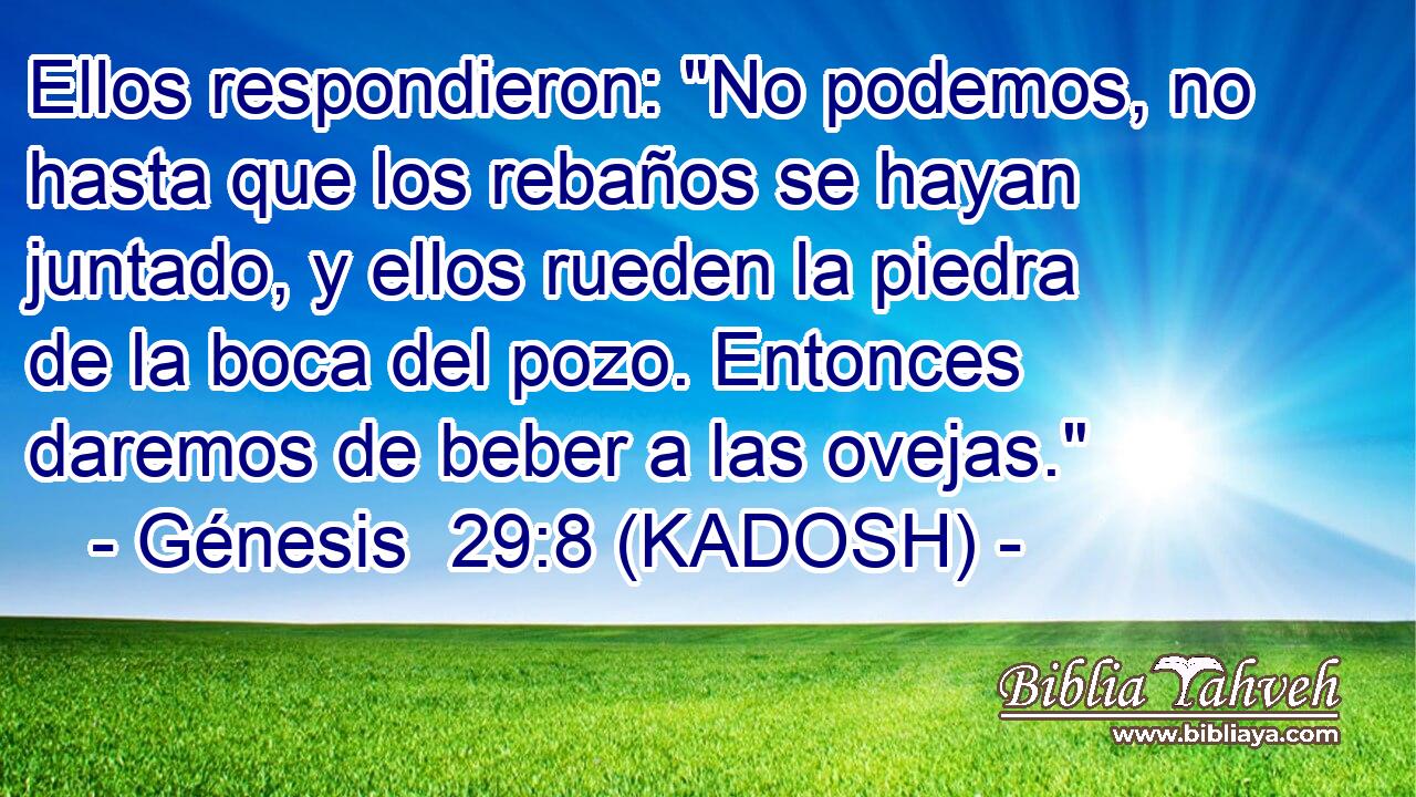 Ellos respondieron: 
