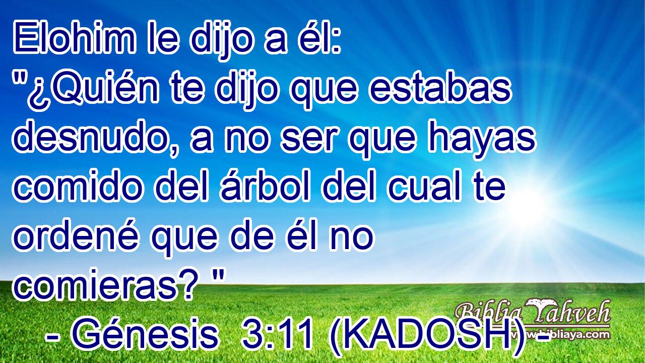 Elohim le dijo a él: 