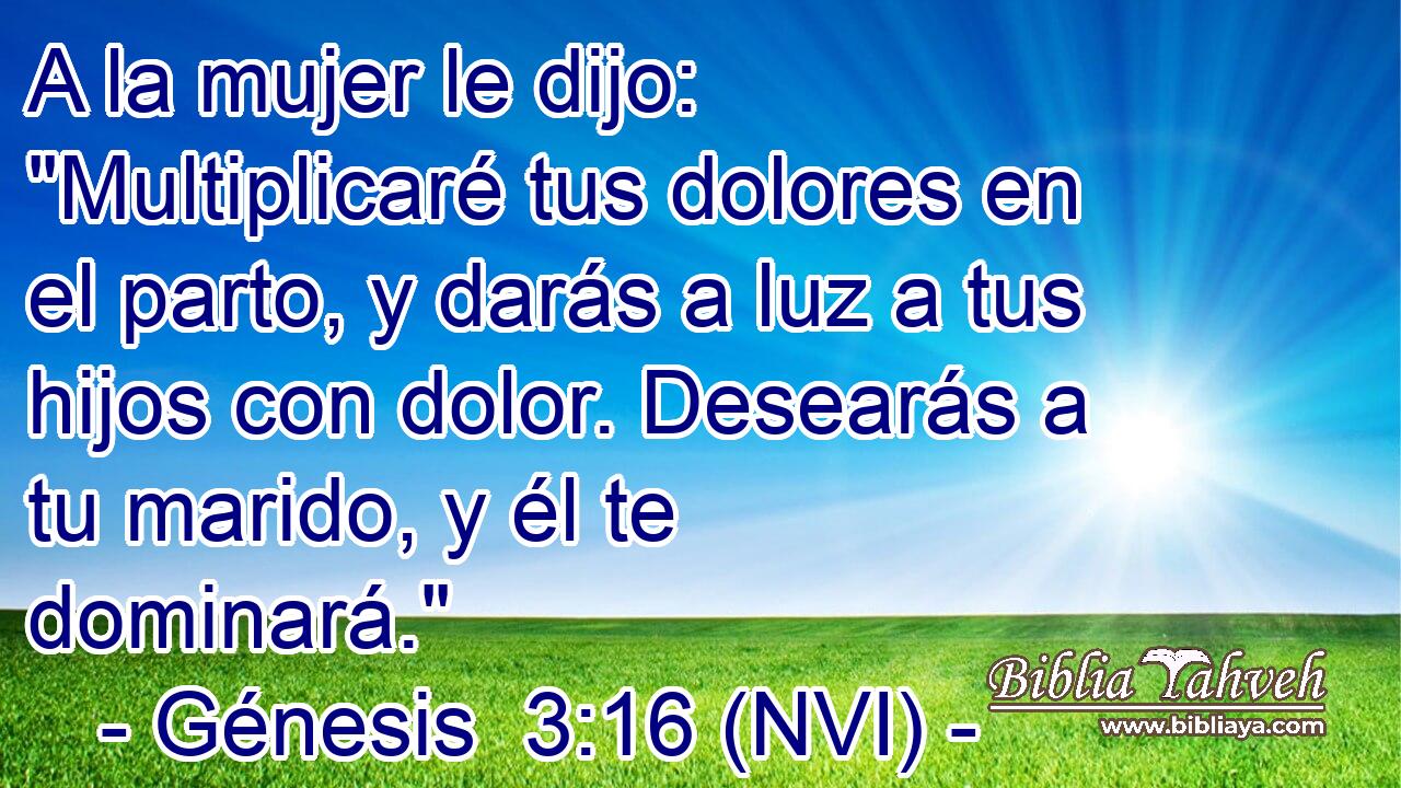  A la mujer le dijo: 