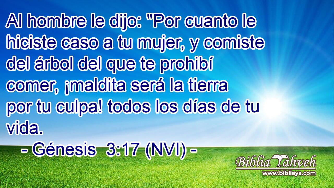  Al hombre le dijo: 