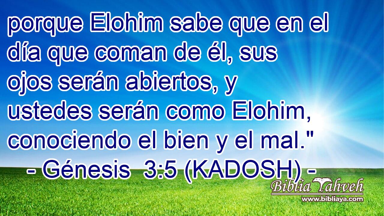  porque Elohim sabe que en el día que coman de él, sus ojos serán abiertos, y ustedes serán como Elohim, conociendo el bien y el mal.