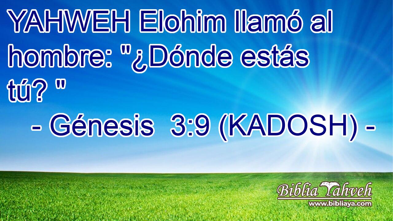  YAHWEH Elohim llamó al hombre: 