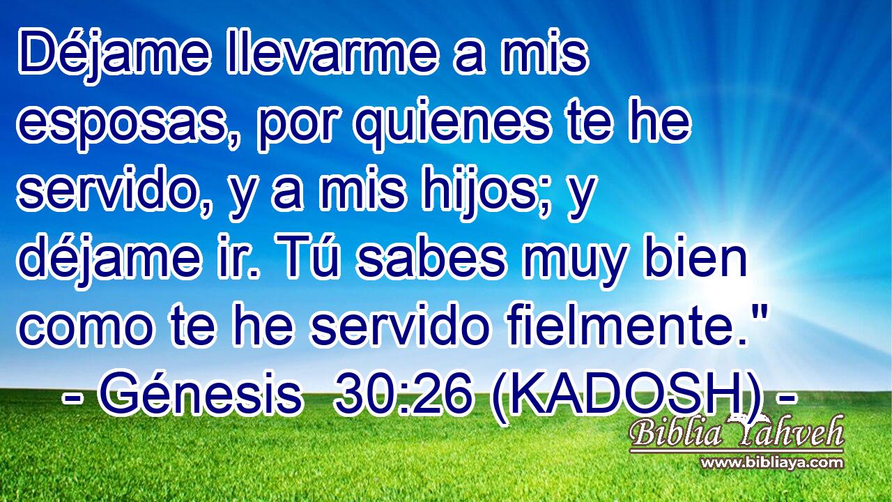  Déjame llevarme a mis esposas, por quienes te he servido, y a mis hijos; y déjame ir. Tú sabes muy bien como te he servido fielmente.