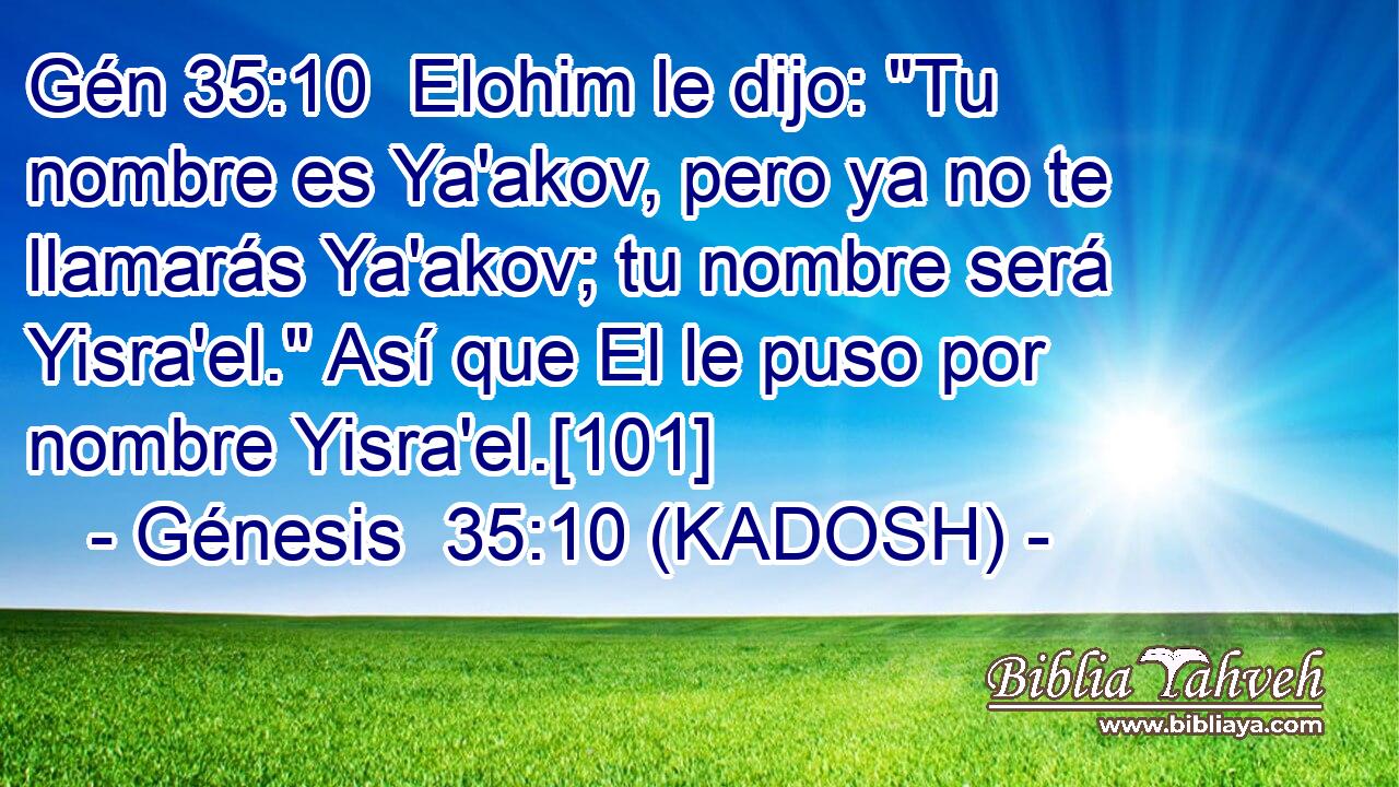  Elohim le dijo: 