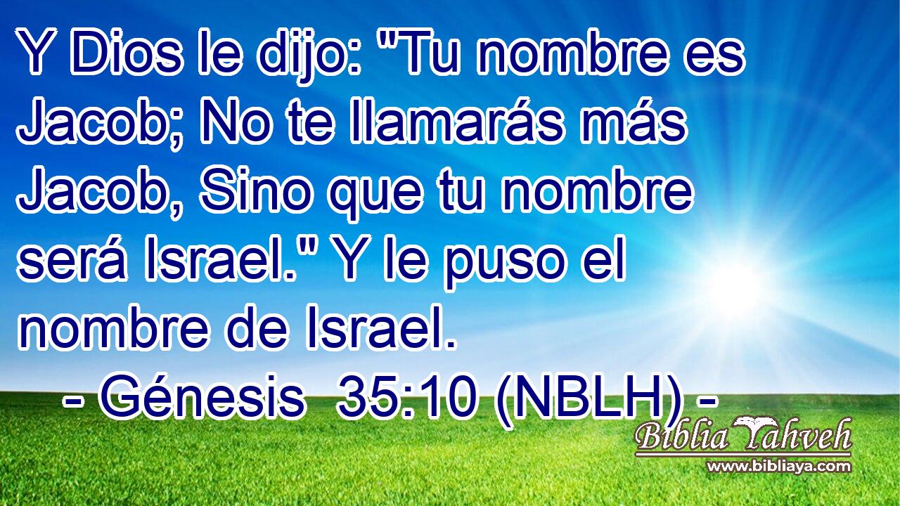  Y Dios le dijo: 